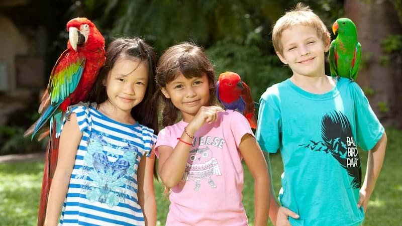 Bali Bird Park