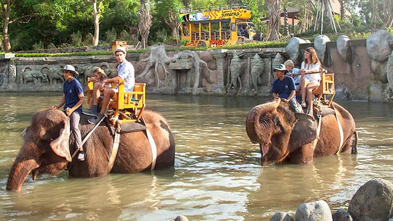 Elephant Safari at Bali Zoo