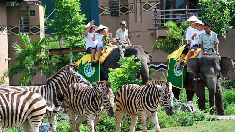 Elephant Safari at Bali Safari Park