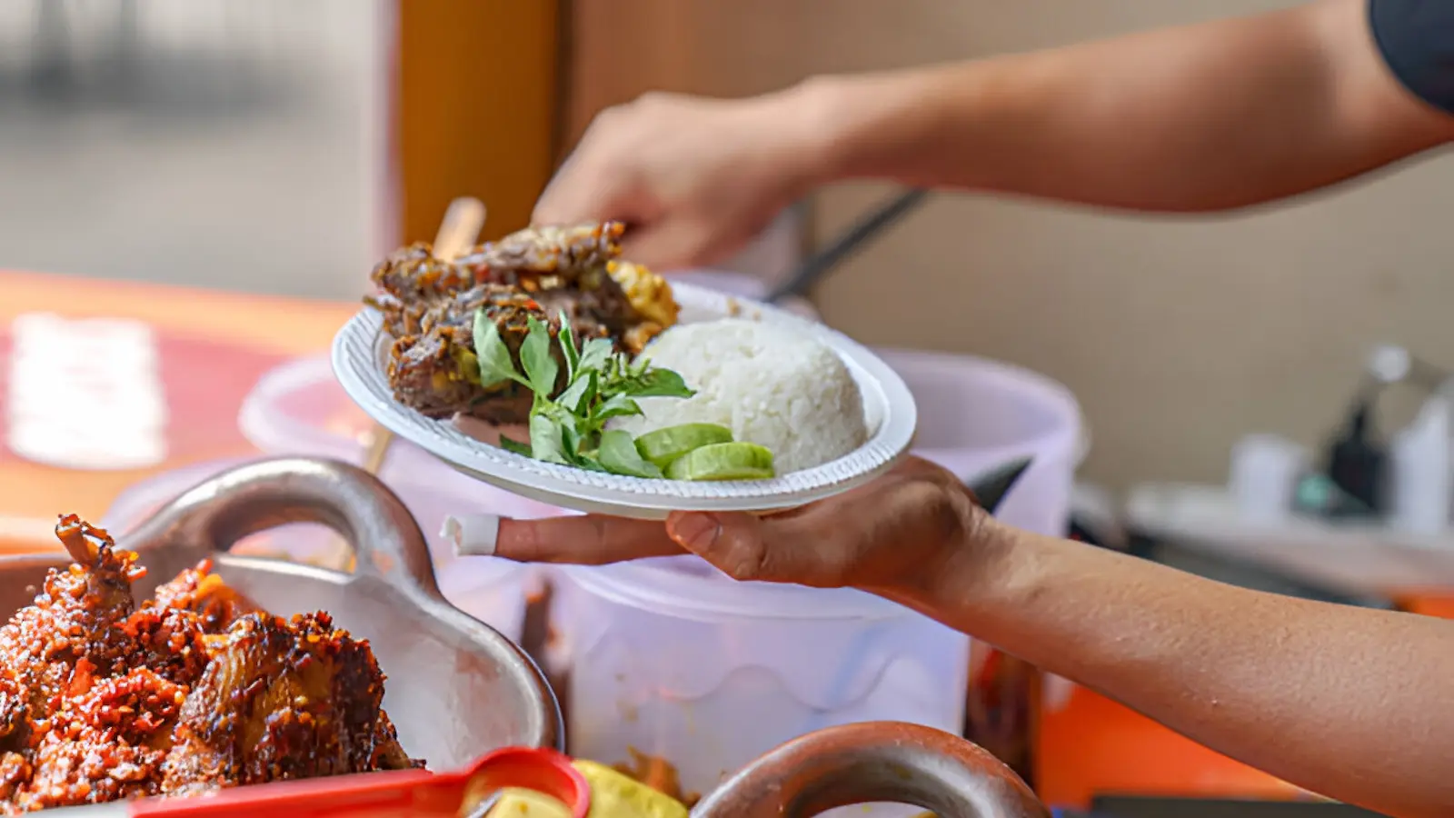 Authentic Indonesian street food — duck rice with fresh vegetables, served the local way.
