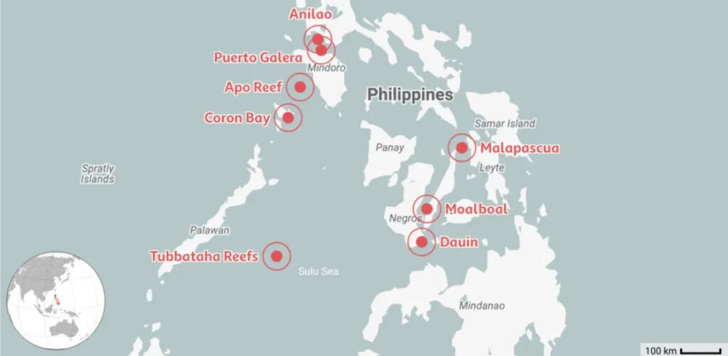 Suba Diving Locations for Beginners