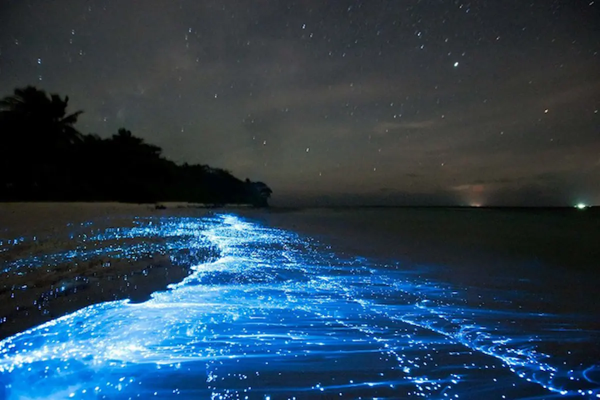 Stunning bioluminescent plankton creating blue glowing waves on Koh Rong's beaches, a free natural phenomenon that budget travelers can experience without an expensive tour unlike in other Southeast Asian destinations