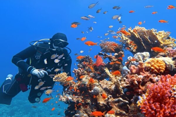 Beginner Scuba Diving Philippines: Top Spots for New Divers Beginner scuba diving Philippines - new diver hovering over colorful coral reef