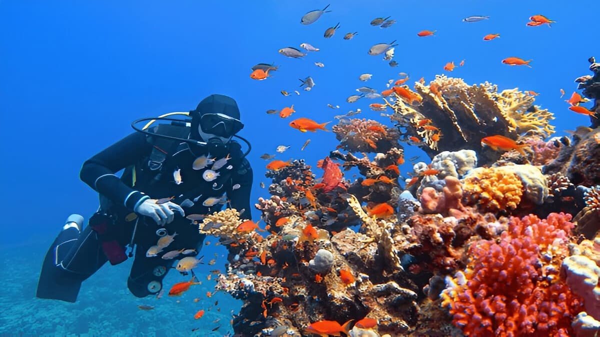 Beginner scuba diving Philippines - new diver hovering over colorful coral reef